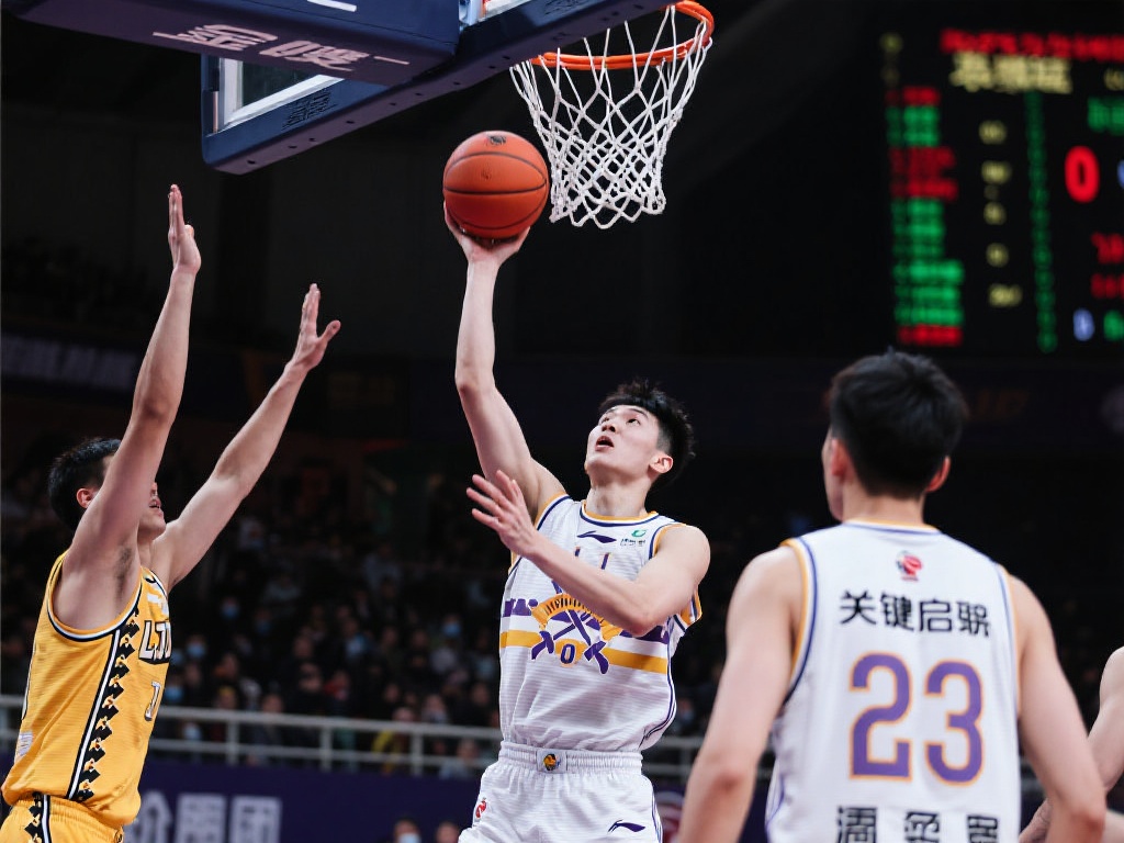 球者的研究 球者的研究